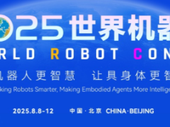 2025世界机器人大会