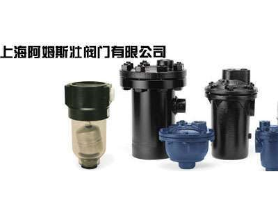 阿姆斯壮排液阀 881BVSW不锈钢排液阀图2