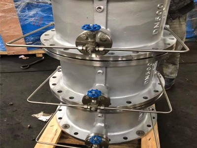 蝶形止回阀H76H 不锈钢对夹式止回阀图2