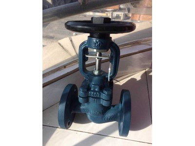 阿姆斯壮BD16截止阀 美国波纹管截止阀图2